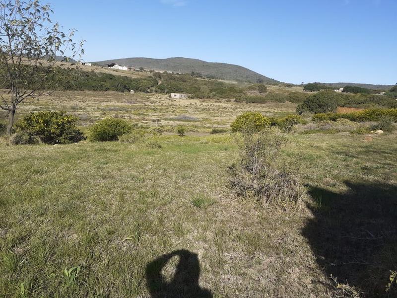 0 Bedroom Property for Sale in Albertinia Western Cape